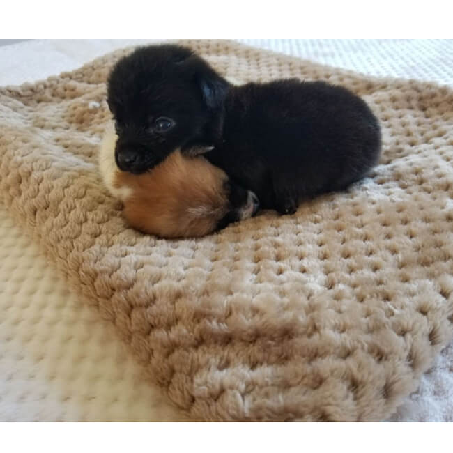 Soft Cotton Flannel Fleece Throw Blanket for Cozy Home Comfort