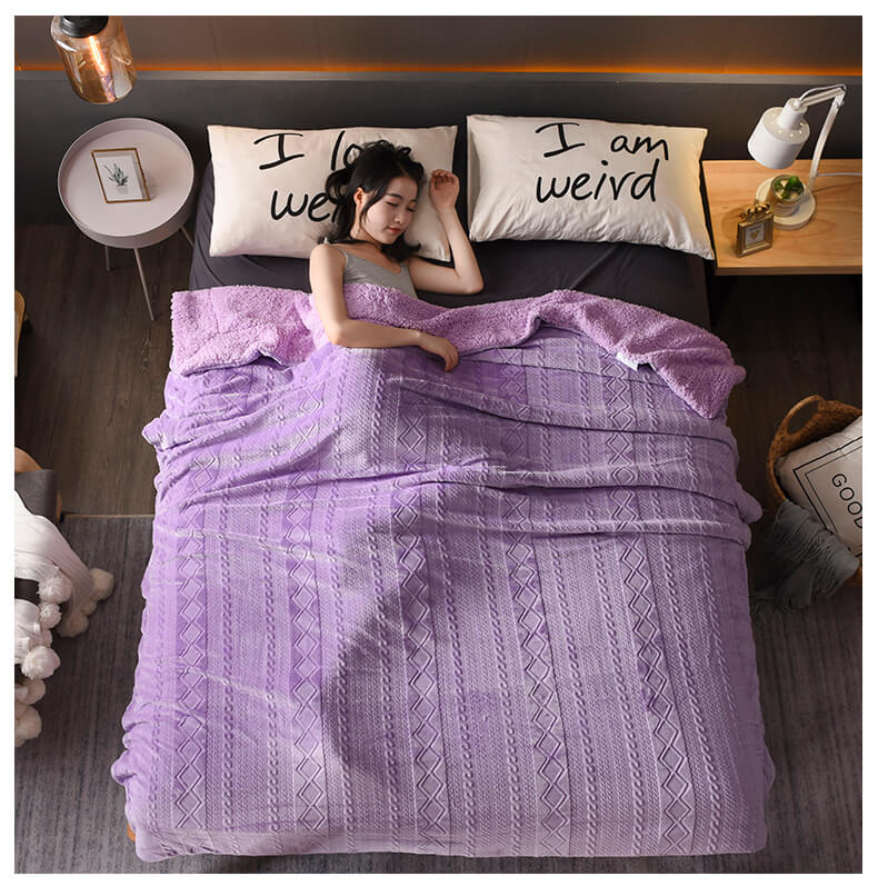 Plush Sherpa Fleece Throw Blanket, Soft Twin Queen Size Blanket