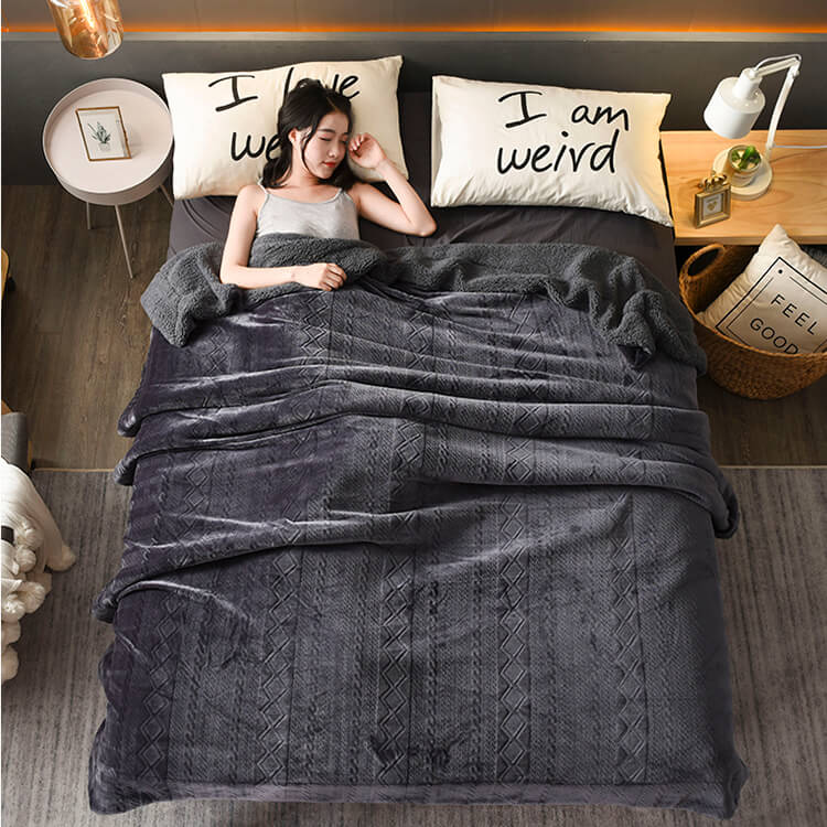 Plush Sherpa Fleece Throw Blanket, Soft Twin Queen Size Blanket