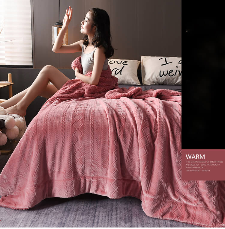 Plush Sherpa Fleece Throw Blanket, Soft Twin Queen Size Blanket