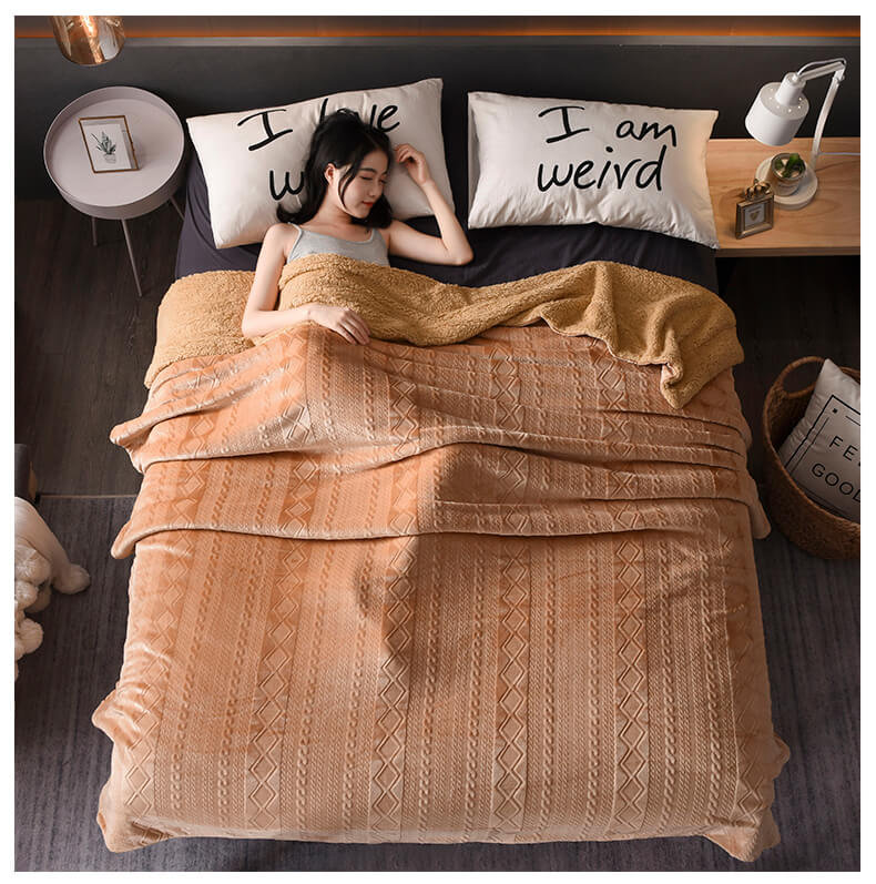 Plush Sherpa Fleece Throw Blanket, Soft Twin Queen Size Blanket