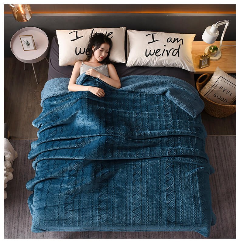 Plush Sherpa Fleece Throw Blanket, Soft Twin Queen Size Blanket
